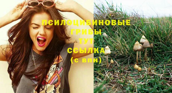 МДПВ Арсеньев